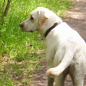 Meet your Posher, Claudia